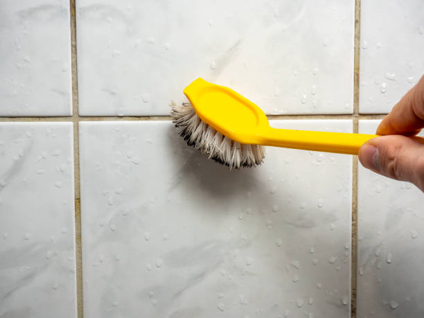 Best Mold Removal Near Me  in Yerington, NV