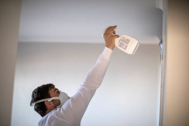 Best Professional Mold Removal  in Yerington, NV