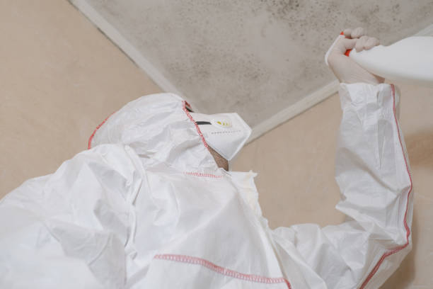 Best Residential Mold Removal  in Yerington, NV