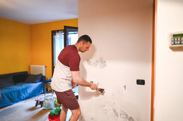 Best Toxic Mold Removal  in Yerington, NV